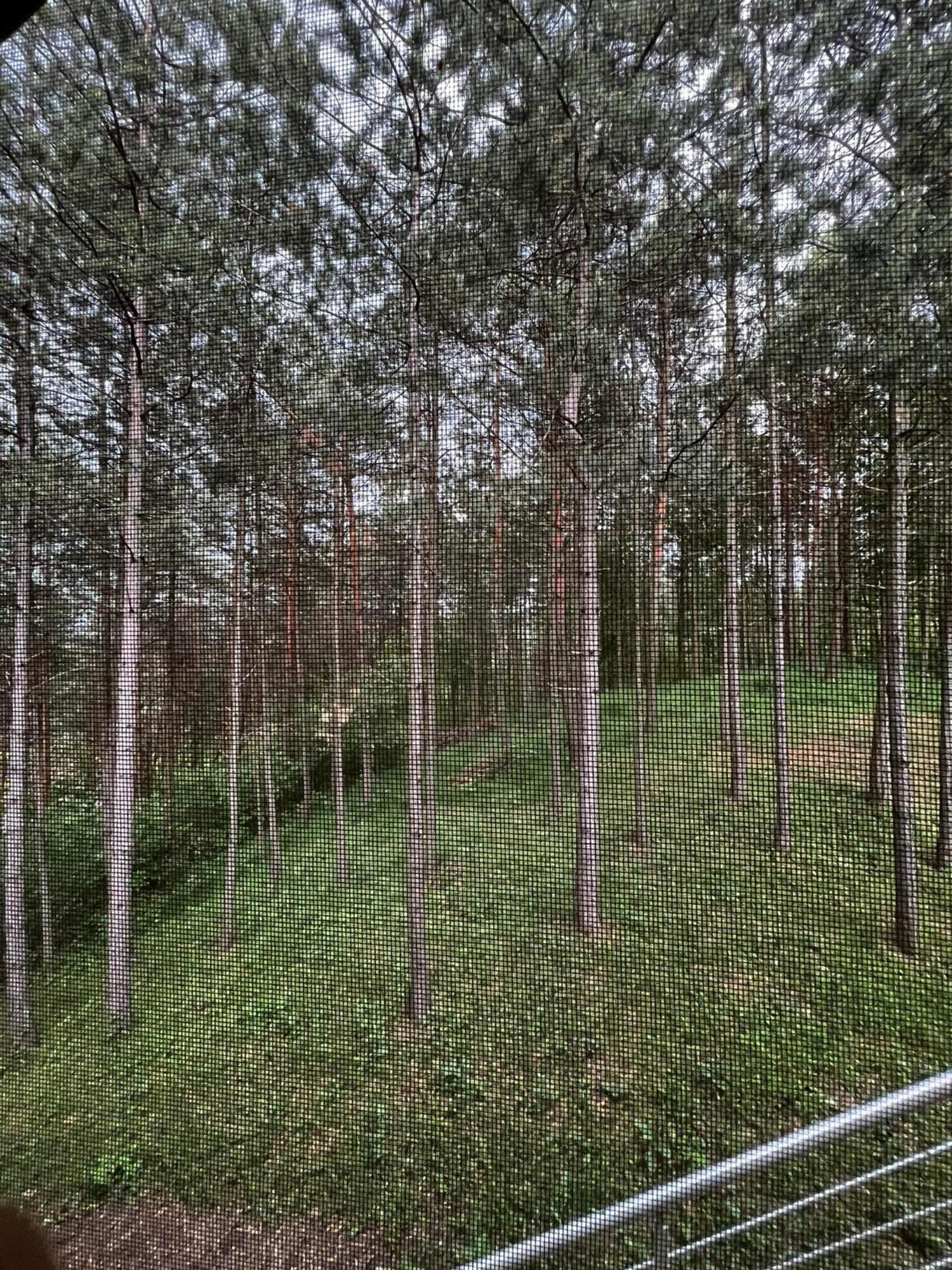 Villa Hukic Tuzla Eksteriør billede